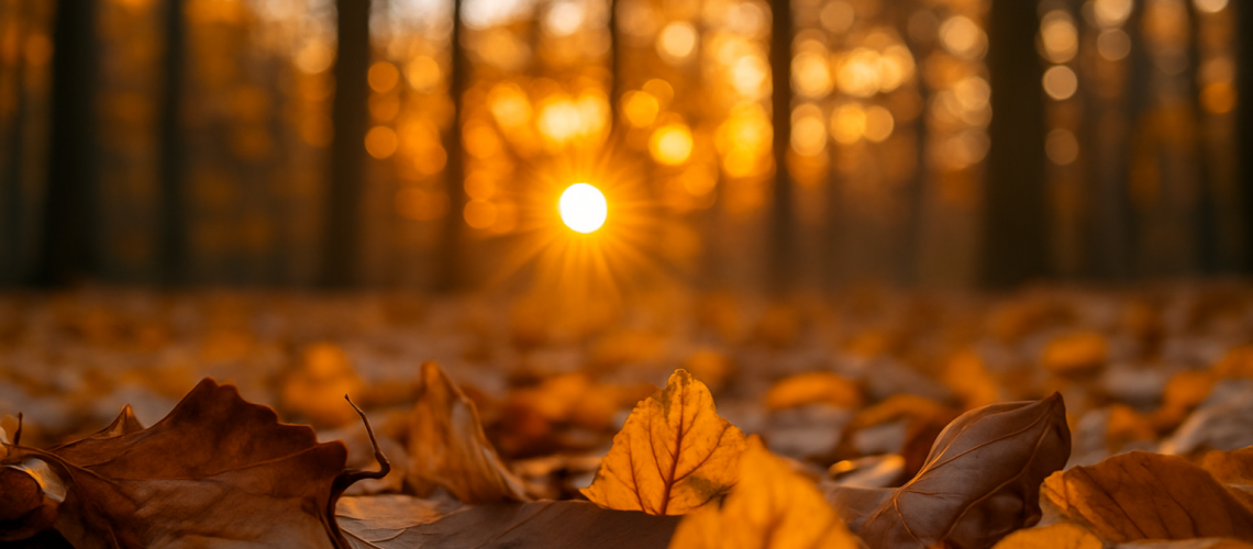 ChatGPT Image 15 sept 2025, 11_15_31